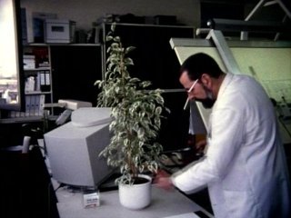 PLANTA OFICINA EMPLEADOS DESPACHOS